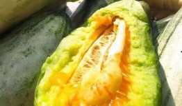 婉静吃瓜,揭秘娱乐圈那些不为人知的幕后故事