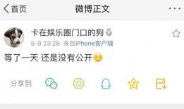 吃瓜爆料财经,吃瓜爆料背后的真相与启示