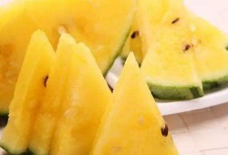 吃瓜回中,网络热词背后的文化现象