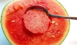 秋天吃瓜要用勺子吃文案,尽享丰收滋味时