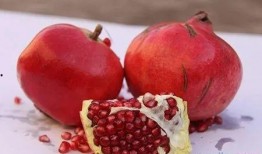 吃石榴可以吃籽瓜吗图片,探寻石榴籽的独特食用方式