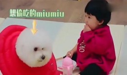 东北吃瓜妞,揭秘东北美食的独特魅力