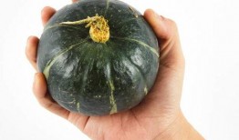 脾虚可以吃小瓜吗