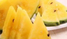 新鲜瓜在哪吃最好吃,探寻新鲜瓜的最佳食用时光与地点