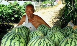 吃瓜人大战卖瓜人,吃瓜人与卖瓜人的激战正酣