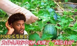 中国吃瓜的历史,中国吃瓜历史的趣味回顾