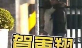 网络出轨吃瓜事件,揭秘娱乐圈的隐秘情感纠葛