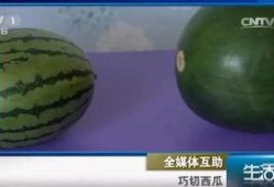 吃黑瓜不吐籽,尽享清新口感之旅