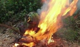 黑暗吃瓜视频,带你走进网络暗流涌动的神秘世界