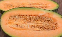 成龙吃哈密瓜,哈密瓜成新宠