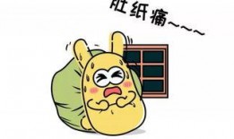 如何道歉吃瓜群众,如何优雅道歉，化解尴尬场面