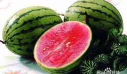 夏天吃瓜解说,瓜果飘香，清凉一夏的美食之旅