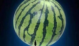 来张嘴吃瓜,揭秘娱乐圈那些不为人知的秘密