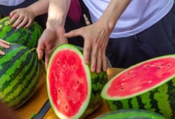 大学舍友吃瓜,揭秘大学舍友的吃瓜日常