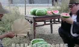 赚老板钱吃老板瓜,赚老板钱，吃老板瓜的智慧之道