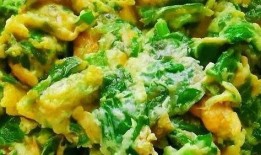 一味吃瓜,揭秘一味吃瓜的奇妙世界