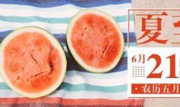 莱莱吃瓜公众号,一场关于瓜界的狂欢盛宴