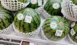 中国吃瓜vs日本吃瓜,趣味横生的社会现象解析