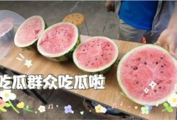 最近天天都在吃瓜,娱乐圈风云录