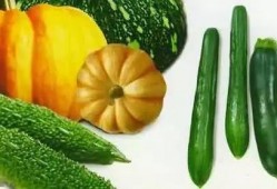 下凡吃瓜,揭秘娱乐圈的甜蜜与苦涩