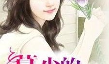 豪门吃瓜夫妇小说,吃瓜夫妇的甜蜜较量