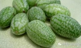 橄榄瓜怎么吃,解锁健康美味新体验