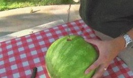 如何快捷吃瓜,轻松吃瓜指南