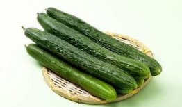 黄瓜喜欢吃瓜,黄瓜的瓜界美食之旅