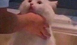 吃瓜视频朝阳群众,吃瓜视频中的社区守望者