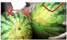 福州金融圈吃瓜,揭秘吃瓜背后的金融圈故事