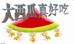 ppt吃瓜怎么表达,轻松解读职场“瓜田”风云