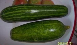 抚州烧瓜怎么吃,传统美食的独特风味与多样吃法