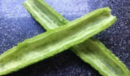 吃瓜白菜小说,揭秘娱乐圈背后的秘密与真相