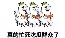 最新网络用语 吃瓜,揭秘网络热词“吃瓜”背后的故事