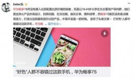 华为吃瓜群众介绍,揭秘科技巨头的崛起之路