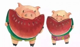 猪吃瓜的配音,笑料横生配音秀