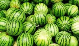 吃瓜感受的图,图解吃瓜群众的欢乐与感慨