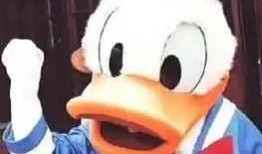 大半夜睡不着吃瓜,揭秘娱乐圈那些不为人知的秘密