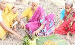 张奶奶吃瓜,一场甜蜜的消暑之旅