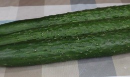 最近天天都在吃瓜,娱乐圈风云录