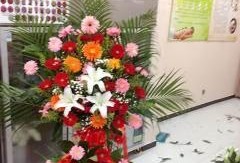 吃瓜网 唐山花店,绽放城市角落的温馨与美好