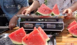 吃瓜被恶心到,竟被恶心到无法自拔！