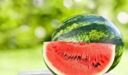 栗原熊jk吃瓜,趣味横生的校园生活