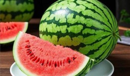 现在吃瓜要去哪个平台,2023年度热门吃瓜平台大盘点，哪个才是你的最佳选择？