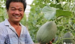 湖州吃瓜大王,揭秘瓜界传奇人物