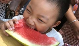 日常吃瓜姿势,揭秘日常吃瓜姿势大揭秘