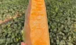 云慕吃瓜,揭秘娱乐圈幕后故事