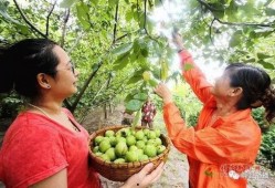 辉县大宝吃瓜,揭秘网络热传事件背后的真相