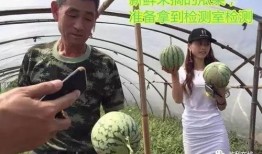 澳门吃瓜直播,吃瓜群众围观美食盛宴