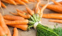 血小板低吃瓜生皮怎么吃,科学搭配，助力健康恢复